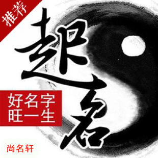 卢龙宝宝起名