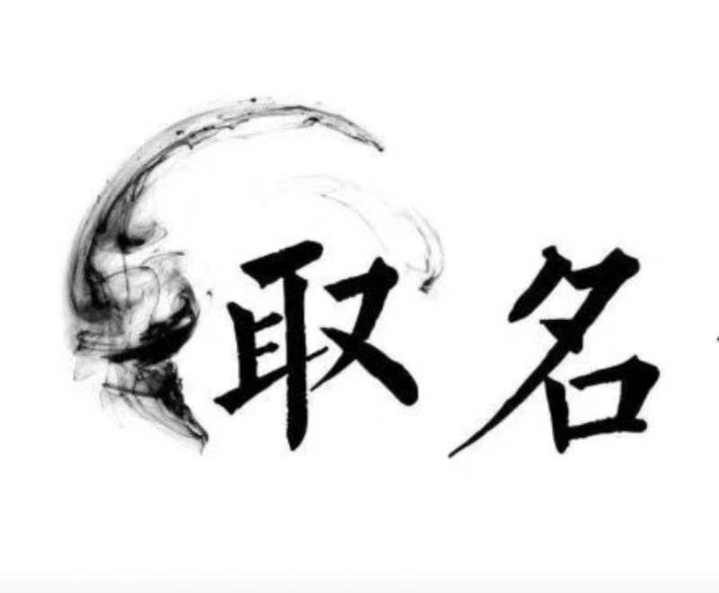  卢龙宝宝取名 大师一对一人工起名
