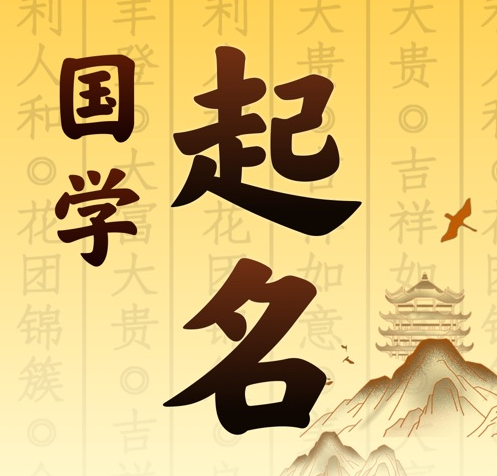 卢龙国学起名 人工起名一对一