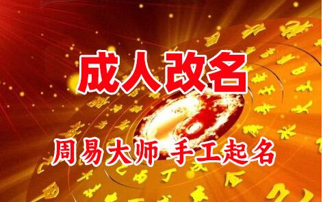 卢龙成人改名-找大师一对一改名先分析后改名